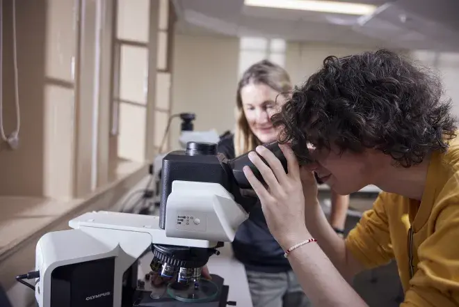 Flagler College Students working in a science lab looking under microscope